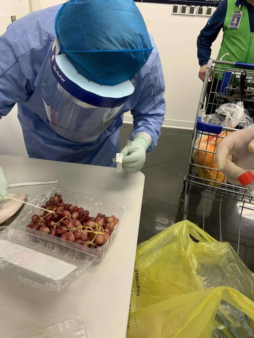 嚴謹防疫，守護餐桌安全 南通完成進口冷凍冷藏食品及場所新冠病毒監測